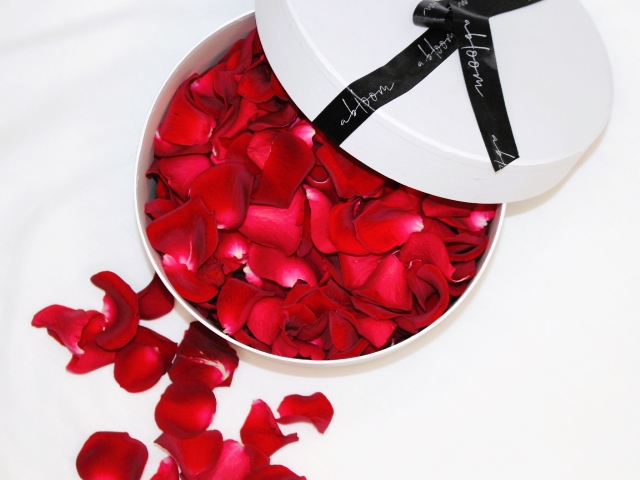 Rose Petals
